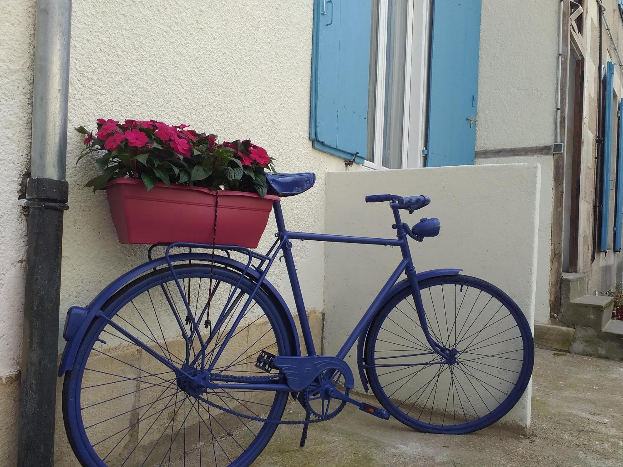 Les Volets Bleus - Deux Appartements Et Un Studio, Jardin بورج الغرفة الصورة