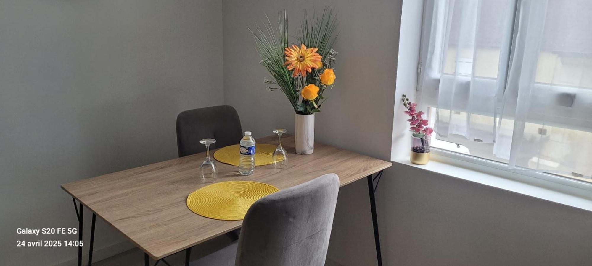 Les Volets Bleus - Deux Appartements Et Un Studio, Jardin بورج المظهر الخارجي الصورة